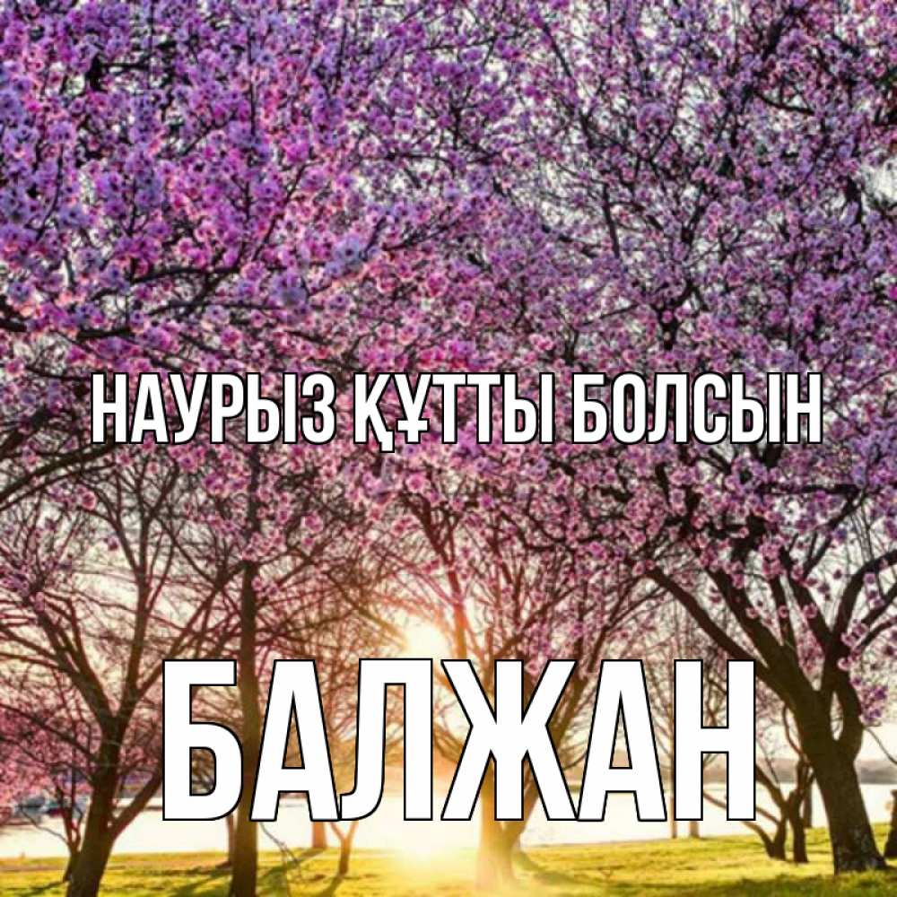Күн сайын ашық хат с именем, БАЛЖАН Наурыз құтты болсын наурыз Онлайн тегін жүктеп алу тілектері бар керемет карта 