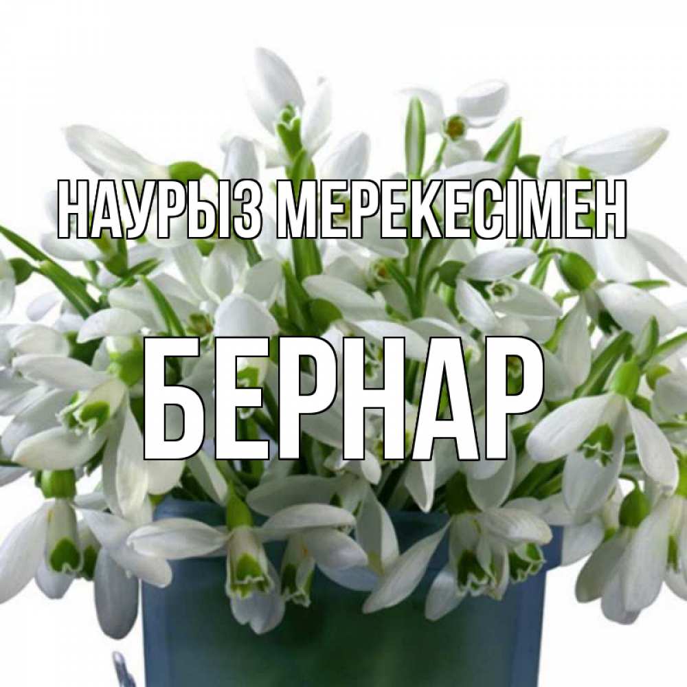 Күн сайын ашық хат с именем, Бернар Наурыз мерекесімен цветы к наурызу новый год в Казахстане Онлайн тегін жүктеп алу тілектері бар керемет карта 