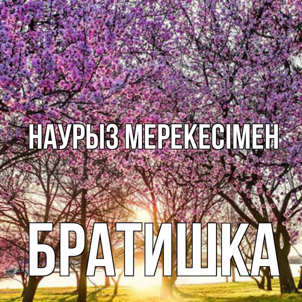 Күн сайын ашық хат с именем, Братишка Наурыз мерекесімен праздник весны наурыз Онлайн тегін жүктеп алу тілектері бар керемет карта 