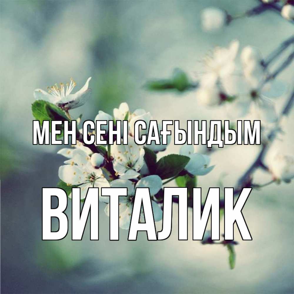 Күн сайын ашық хат с именем, Виталик Мен сені сағындым весна Онлайн тегін жүктеп алу тілектері бар керемет карта 
