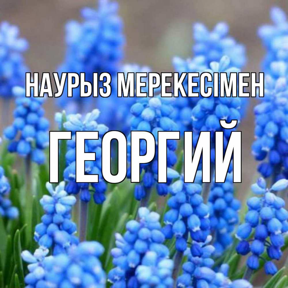 Күн сайын ашық хат с именем, Георгий Наурыз мерекесімен Поздравительная открытка для женщин с цветами на праздничную дату Онлайн тегін жүктеп алу тілектері бар керемет карта 