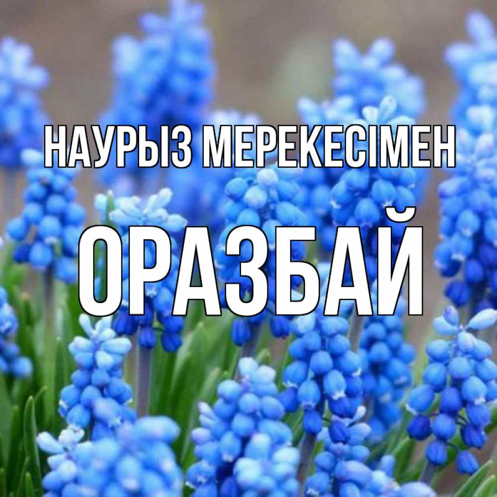 Күн сайын ашық хат с именем, ОРАЗБАЙ Наурыз мерекесімен Поздравительная открытка для женщин с цветами на праздничную дату Онлайн тегін жүктеп алу тілектері бар керемет карта 