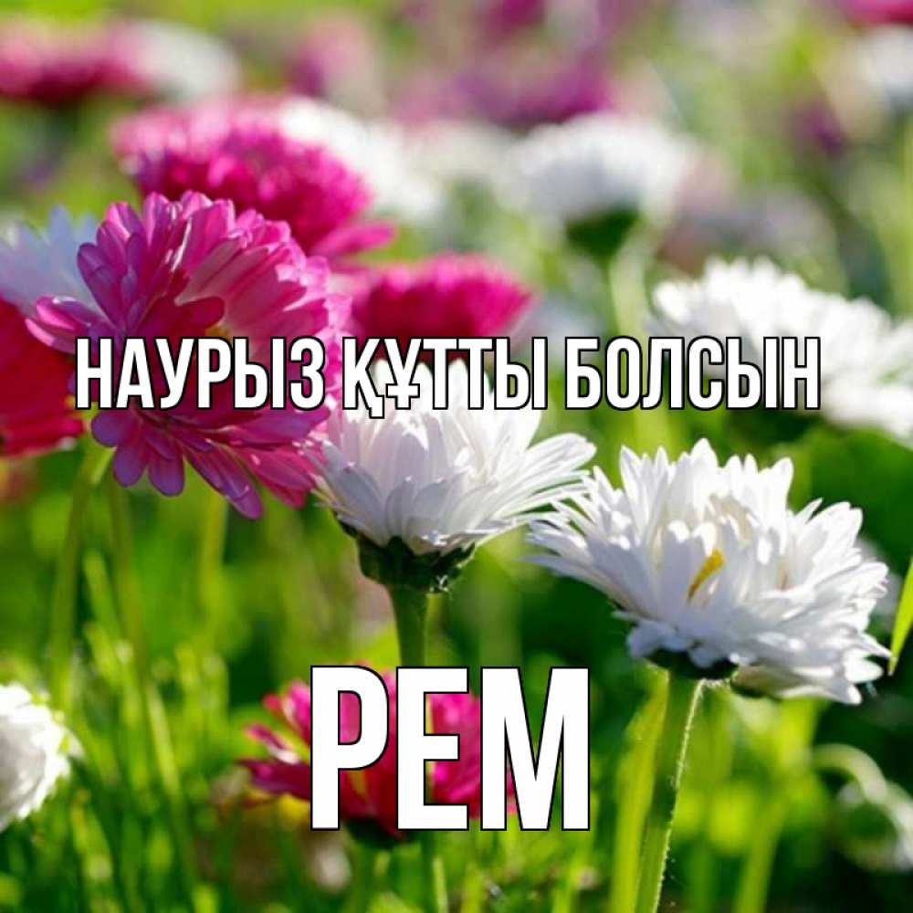 Күн сайын ашық хат с именем, Рем Наурыз құтты болсын наурыз Онлайн тегін жүктеп алу тілектері бар керемет карта 