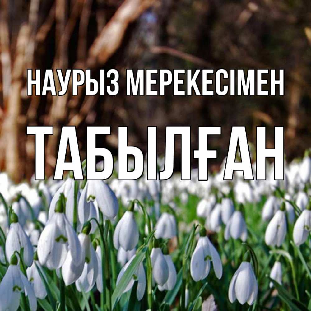 Күн сайын ашық хат с именем, ТАБЫЛҒАН Наурыз мерекесімен с подснежниками 1 Онлайн тегін жүктеп алу тілектері бар керемет карта 