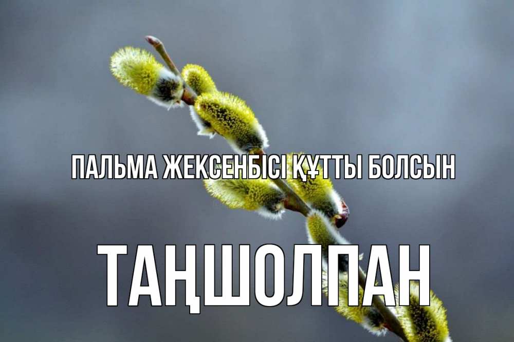 Күн сайын ашық хат с именем, ТАҢШОЛПАН Пальма жексенбісі құтты болсын верба Онлайн тегін жүктеп алу тілектері бар керемет карта 