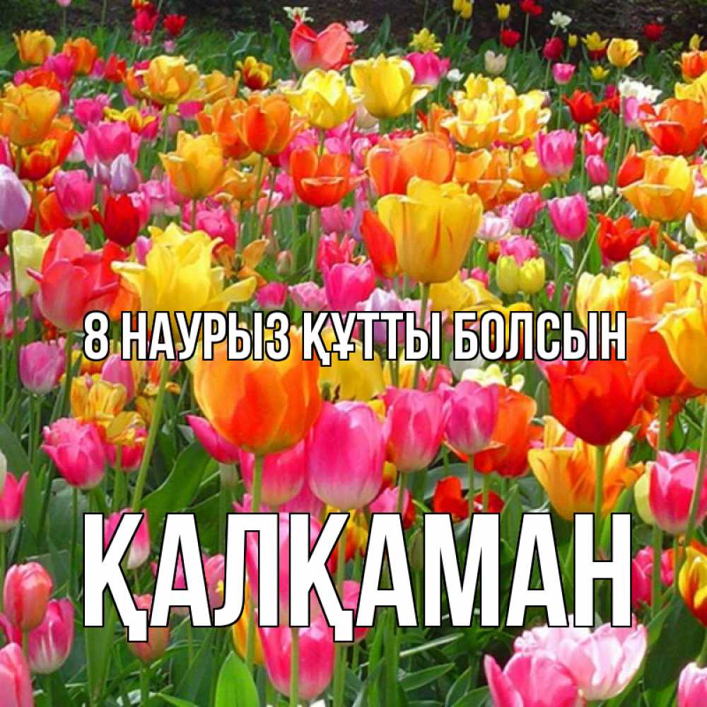 Күн сайын ашық хат с именем, Қалқаман 8 наурыз құтты болсын на международный женский день Онлайн тегін жүктеп алу тілектері бар керемет карта 