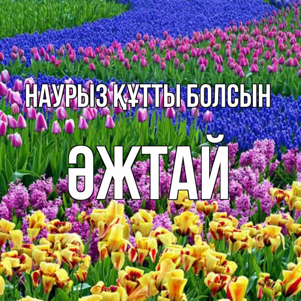 Күн сайын ашық хат с именем, Әжтай Наурыз құтты болсын цветы Онлайн тегін жүктеп алу тілектері бар керемет карта 