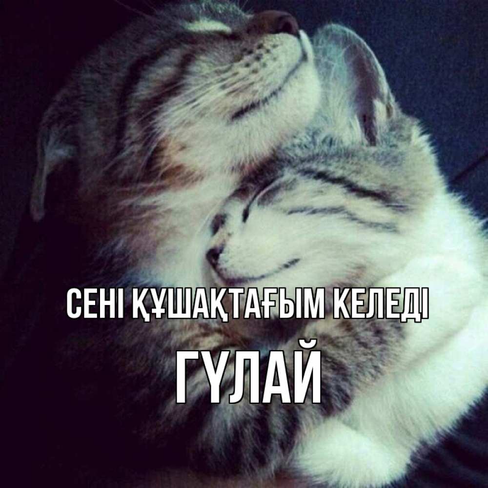 Күн сайын ашық хат с именем, ГҮЛАЙ сені құшақтағым келеді полосатики Онлайн тегін жүктеп алу тілектері бар керемет карта 