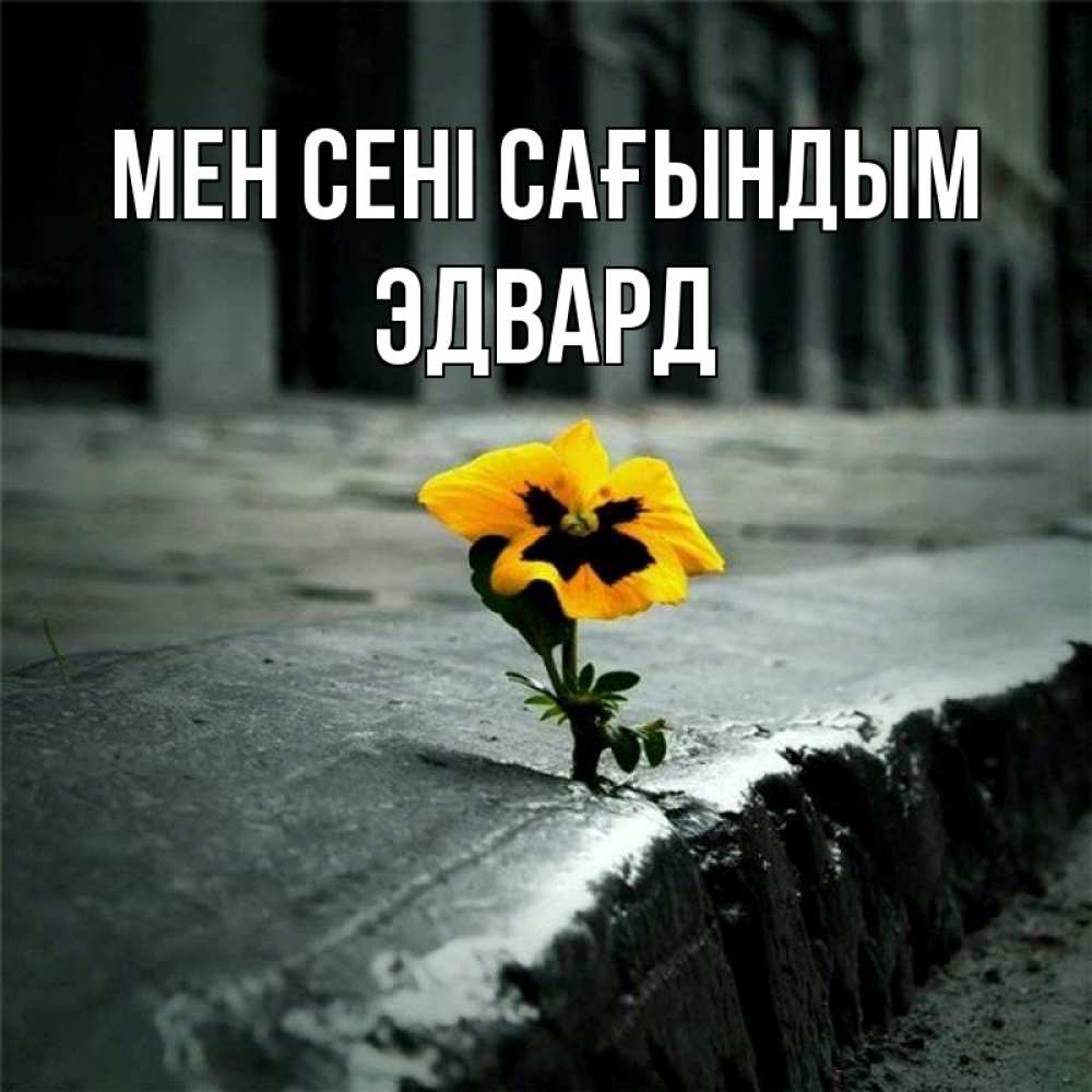 Күн сайын ашық хат с именем, Эдвард Мен сені сағындым надеюсь будет лучше Онлайн тегін жүктеп алу тілектері бар керемет карта 