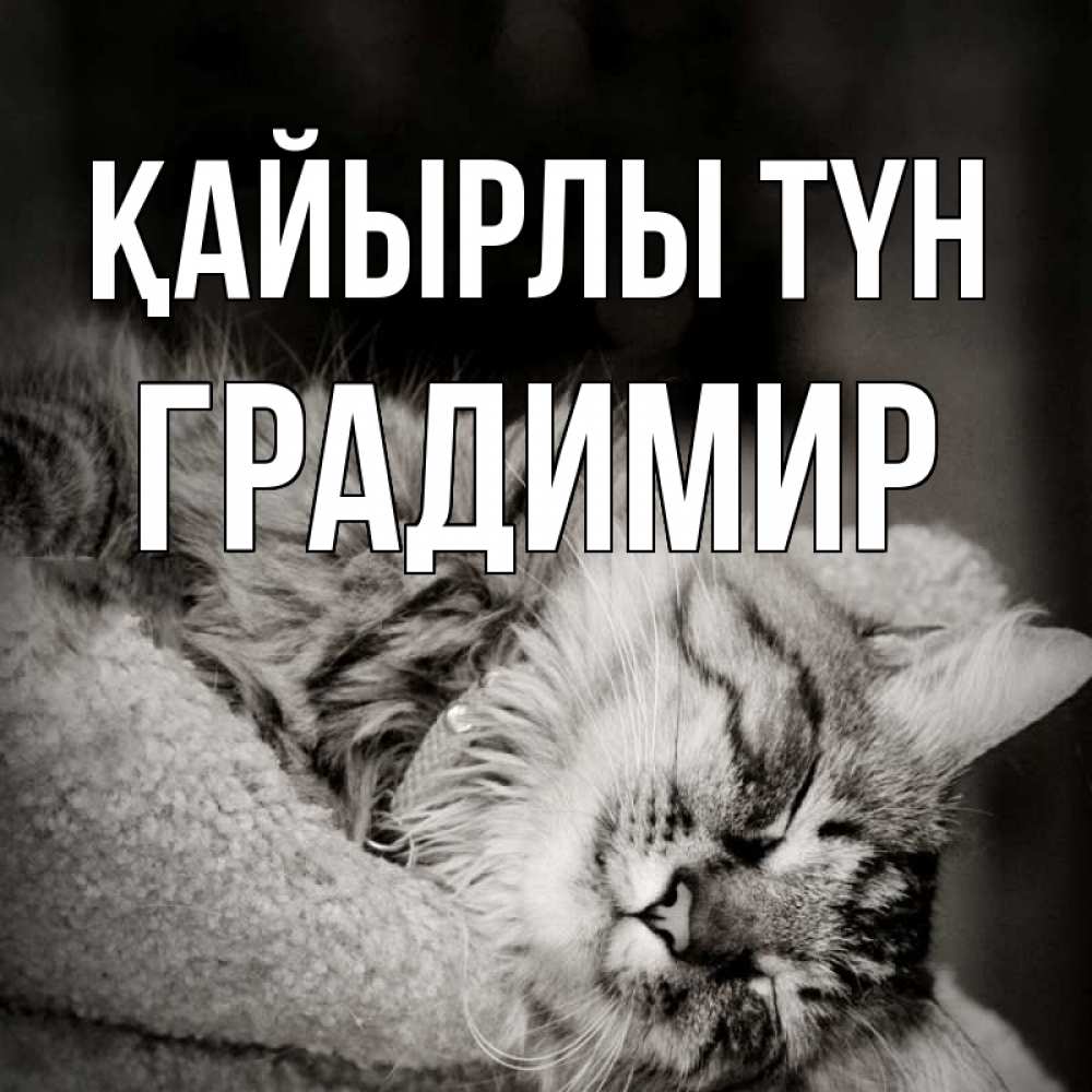 Күн сайын ашық хат с именем, Градимир Қайырлы түн котярик пушистый Онлайн тегін жүктеп алу тілектері бар керемет карта 