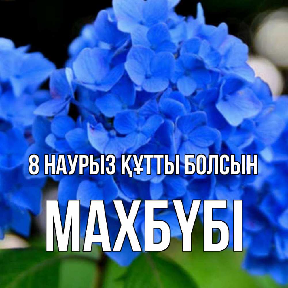 Күн сайын ашық хат с именем, МАХБҮБІ 8 наурыз құтты болсын синие цветы Онлайн тегін жүктеп алу тілектері бар керемет карта 
