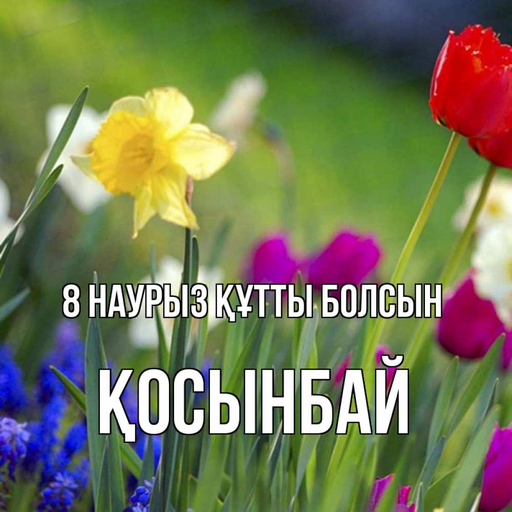 Күн сайын ашық хат с именем, ҚОСЫНБАЙ 8 наурыз құтты болсын международный женский день 3 Онлайн тегін жүктеп алу тілектері бар керемет карта 