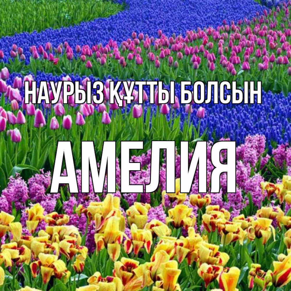 Күн сайын ашық хат с именем, Амелия Наурыз құтты болсын цветы Онлайн тегін жүктеп алу тілектері бар керемет карта 