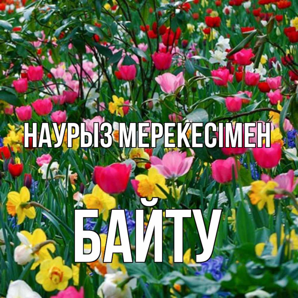 Күн сайын ашық хат с именем, Байту Наурыз мерекесімен с наурызом праздником весны поздравления для женщины Онлайн тегін жүктеп алу тілектері бар керемет карта 