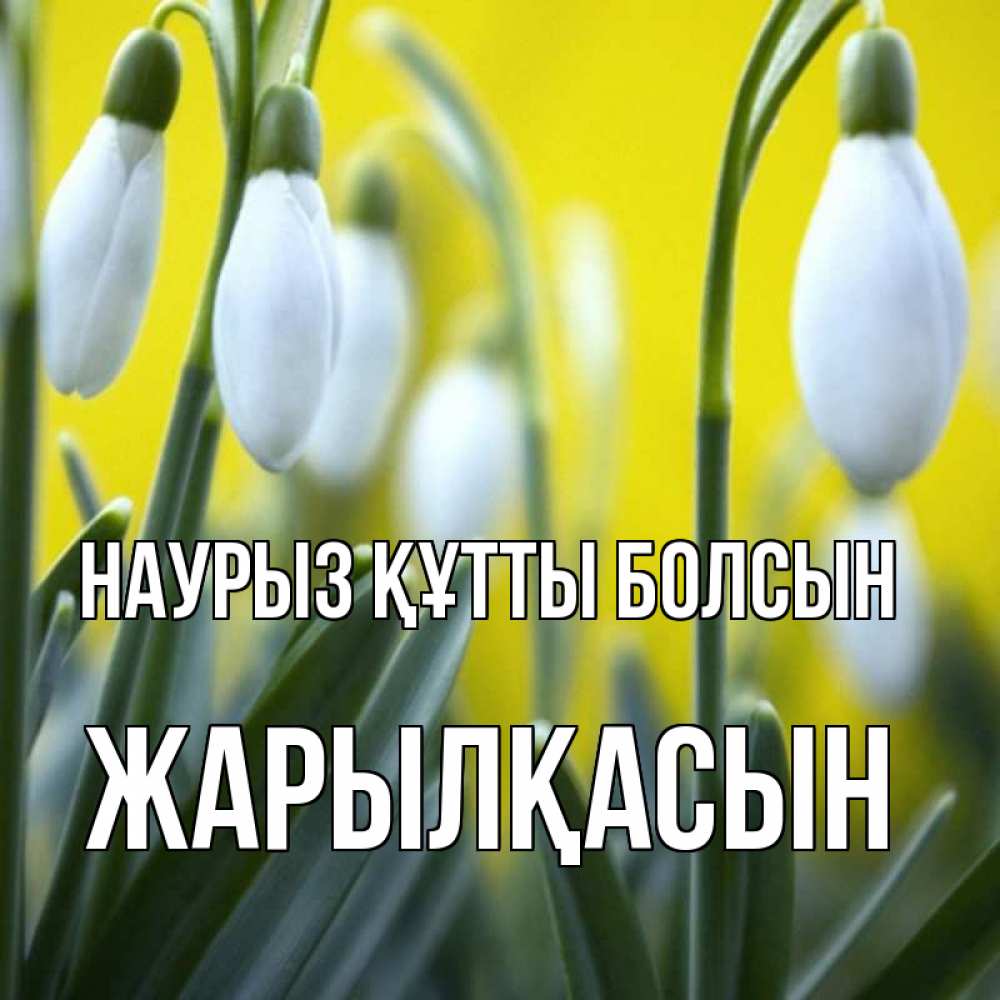Күн сайын ашық хат с именем, Жарылқасын Наурыз құтты болсын весенние цветы Онлайн тегін жүктеп алу тілектері бар керемет карта 