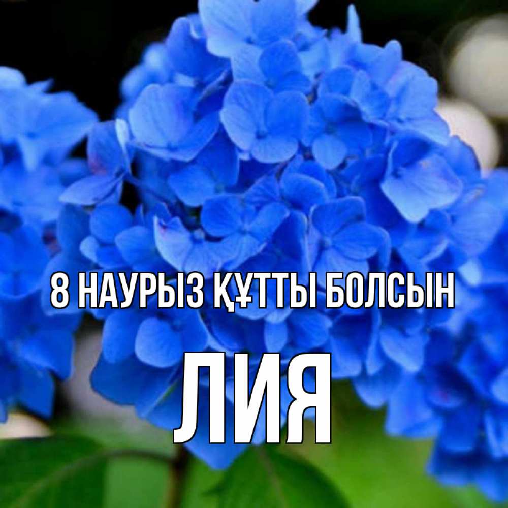 Күн сайын ашық хат с именем, Лия 8 наурыз құтты болсын синие цветы Онлайн тегін жүктеп алу тілектері бар керемет карта 