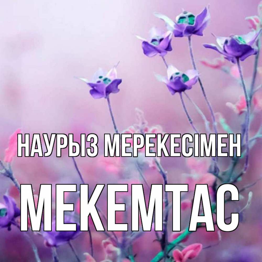 Күн сайын ашық хат с именем, МЕКЕМТАС Наурыз мерекесімен международный женский день 2 Онлайн тегін жүктеп алу тілектері бар керемет карта 