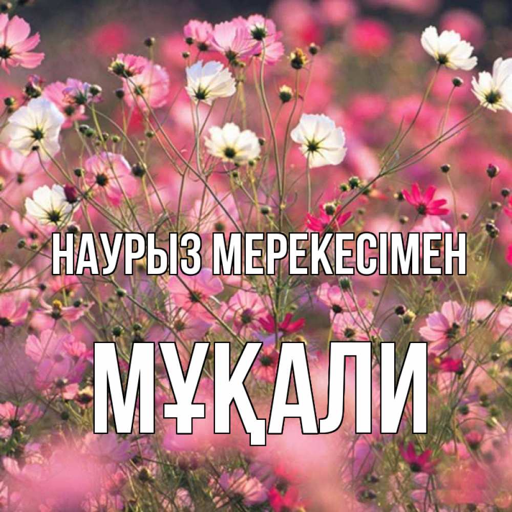 Күн сайын ашық хат с именем, МҰҚАЛИ Наурыз мерекесімен красиво 1 Онлайн тегін жүктеп алу тілектері бар керемет карта 