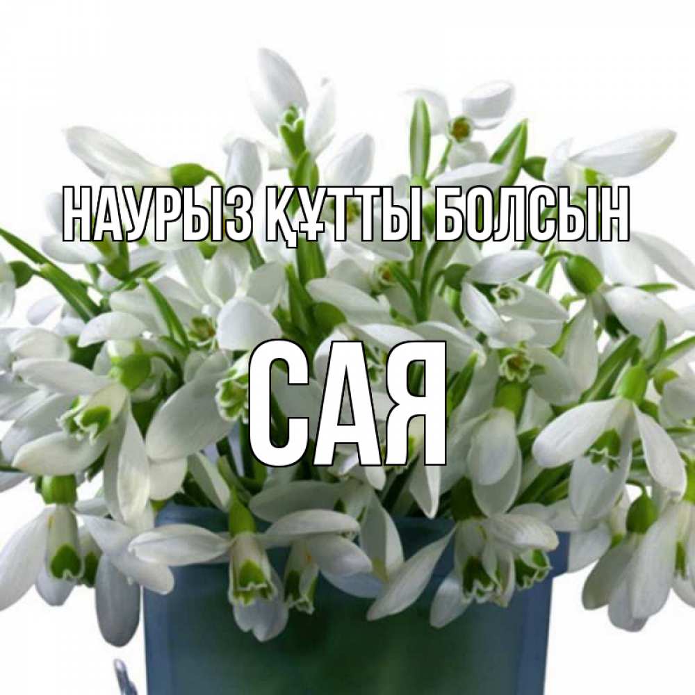 Күн сайын ашық хат с именем, САЯ Наурыз құтты болсын цветы к наурызу Онлайн тегін жүктеп алу тілектері бар керемет карта 