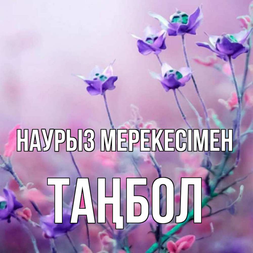 Күн сайын ашық хат с именем, ТАҢБОЛ Наурыз мерекесімен международный женский день 2 Онлайн тегін жүктеп алу тілектері бар керемет карта 
