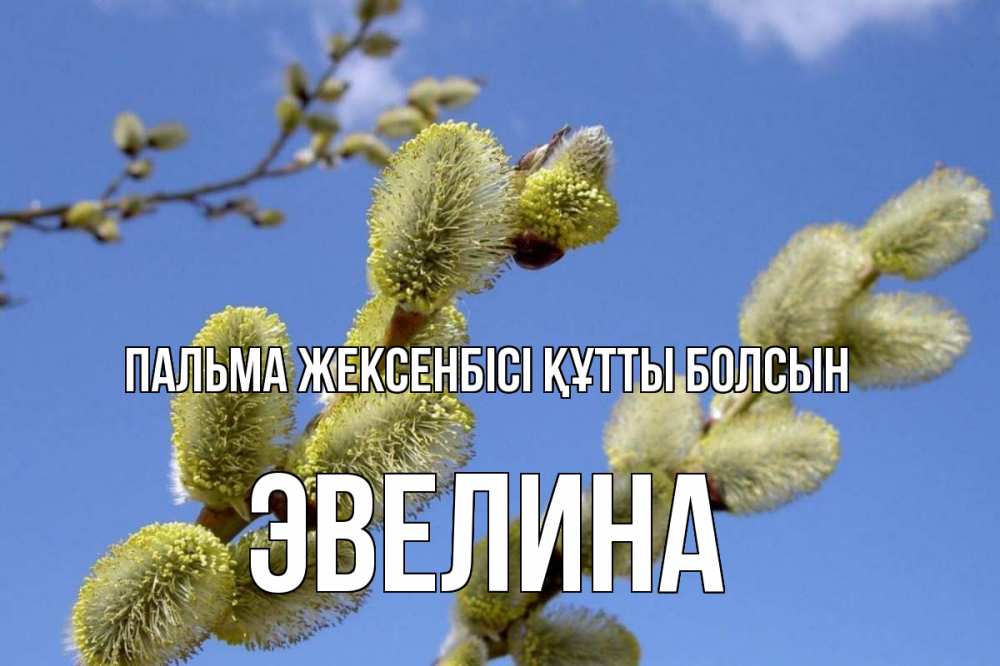 Күн сайын ашық хат с именем, Эвелина Пальма жексенбісі құтты болсын верба Онлайн тегін жүктеп алу тілектері бар керемет карта 