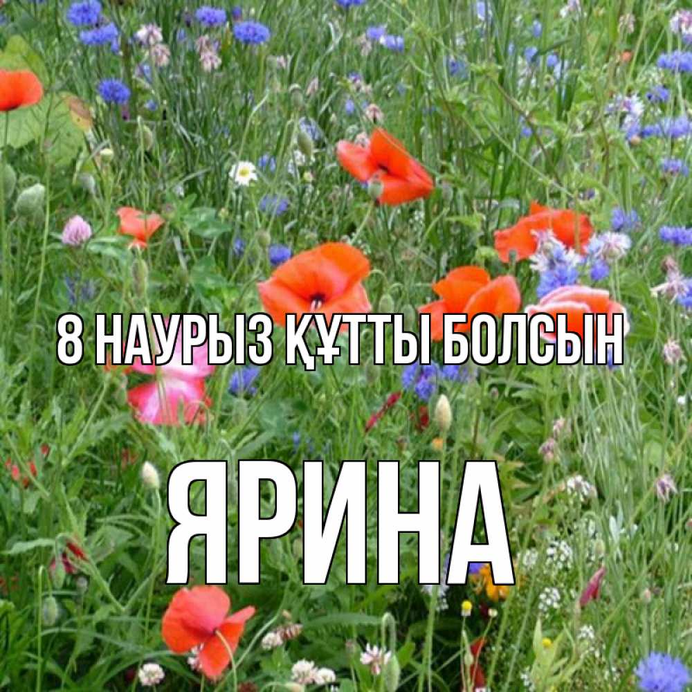 Күн сайын ашық хат с именем, Ярина 8 наурыз құтты болсын международный женский день 4 Онлайн тегін жүктеп алу тілектері бар керемет карта 