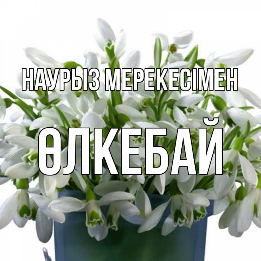 Күн сайын ашық хат с именем, ӨЛКЕБАЙ Наурыз мерекесімен цветы к наурызу новый год в Казахстане Онлайн тегін жүктеп алу тілектері бар керемет карта 