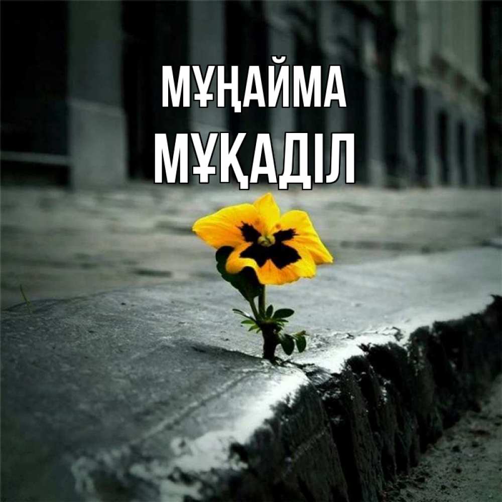 Күн сайын ашық хат с именем, МҰҚАДІЛ Мұңайма не сдавайся Онлайн тегін жүктеп алу тілектері бар керемет карта 