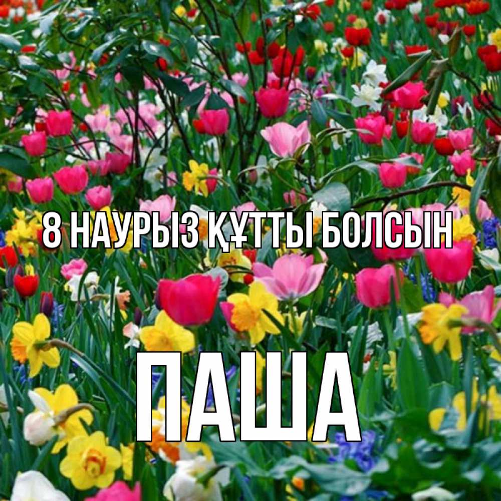 Күн сайын ашық хат с именем, Паша 8 наурыз құтты болсын с международным женским днем поздравления для женщины Онлайн тегін жүктеп алу тілектері бар керемет карта 