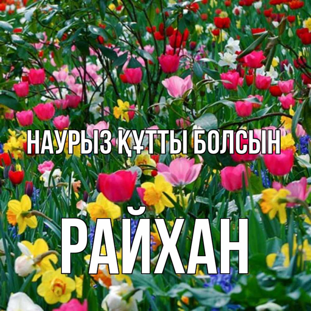 Күн сайын ашық хат с именем, РАЙХАН Наурыз құтты болсын с наурызом поздравления для женщины Онлайн тегін жүктеп алу тілектері бар керемет карта 