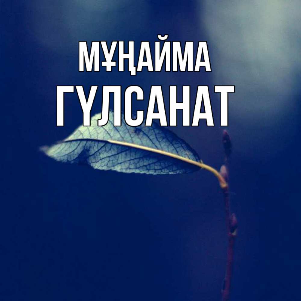 Күн сайын ашық хат с именем, ГҮЛСАНАТ Мұңайма растение Онлайн тегін жүктеп алу тілектері бар керемет карта 