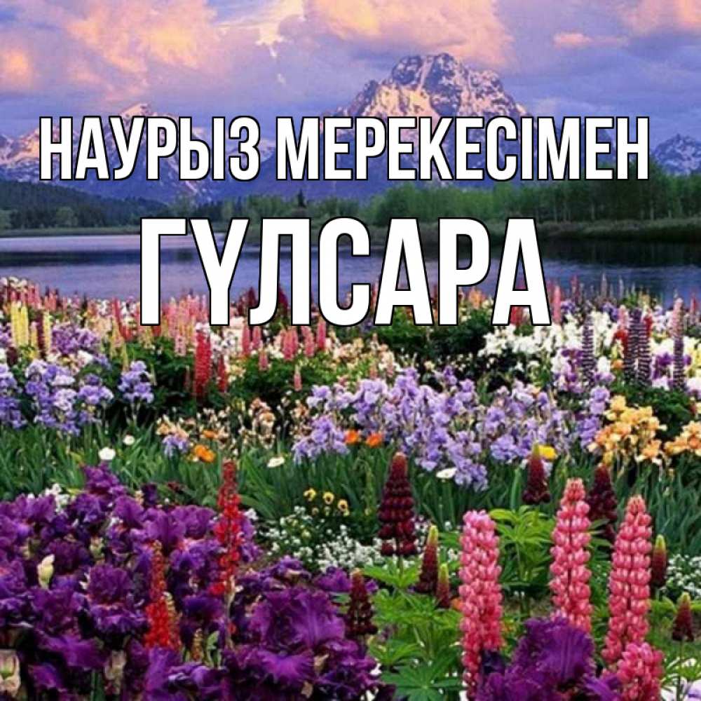 Күн сайын ашық хат с именем, ГҮЛСАРА Наурыз мерекесімен праздник весны наурыз Онлайн тегін жүктеп алу тілектері бар керемет карта 