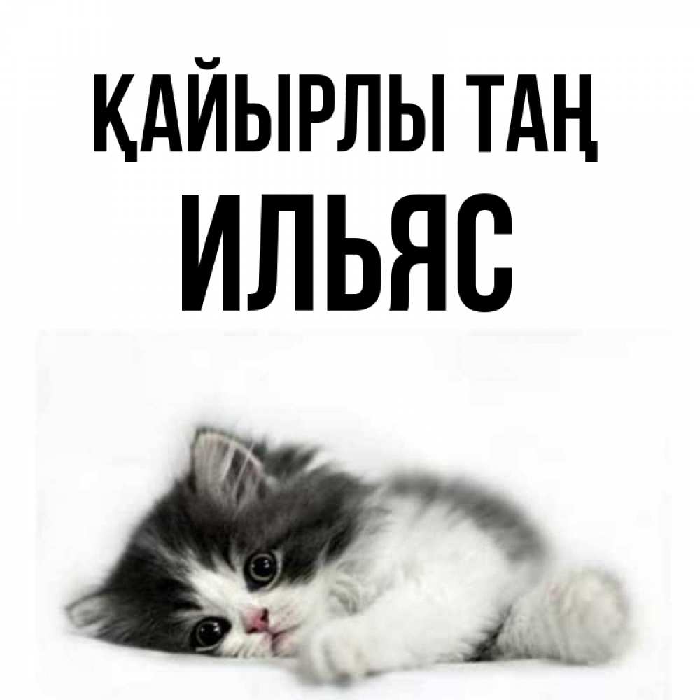 Күн сайын ашық хат с именем, Ильяс Қайырлы таң кот лапки Онлайн тегін жүктеп алу тілектері бар керемет карта 