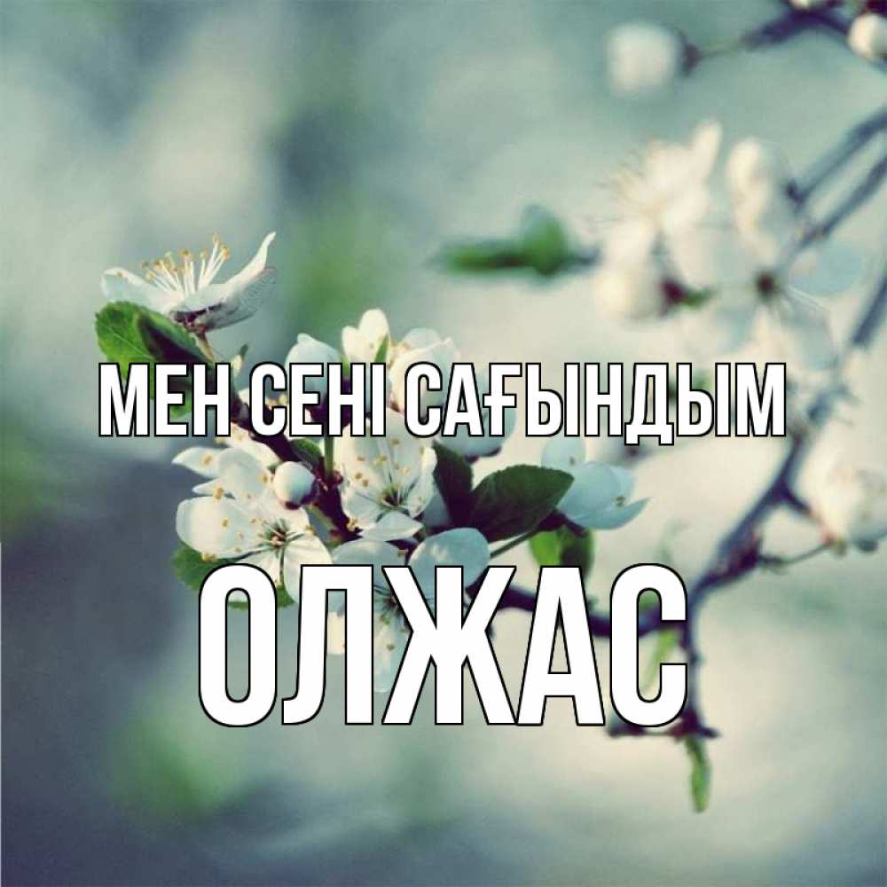Күн сайын ашық хат с именем, ОЛЖАС Мен сені сағындым весна Онлайн тегін жүктеп алу тілектері бар керемет карта 