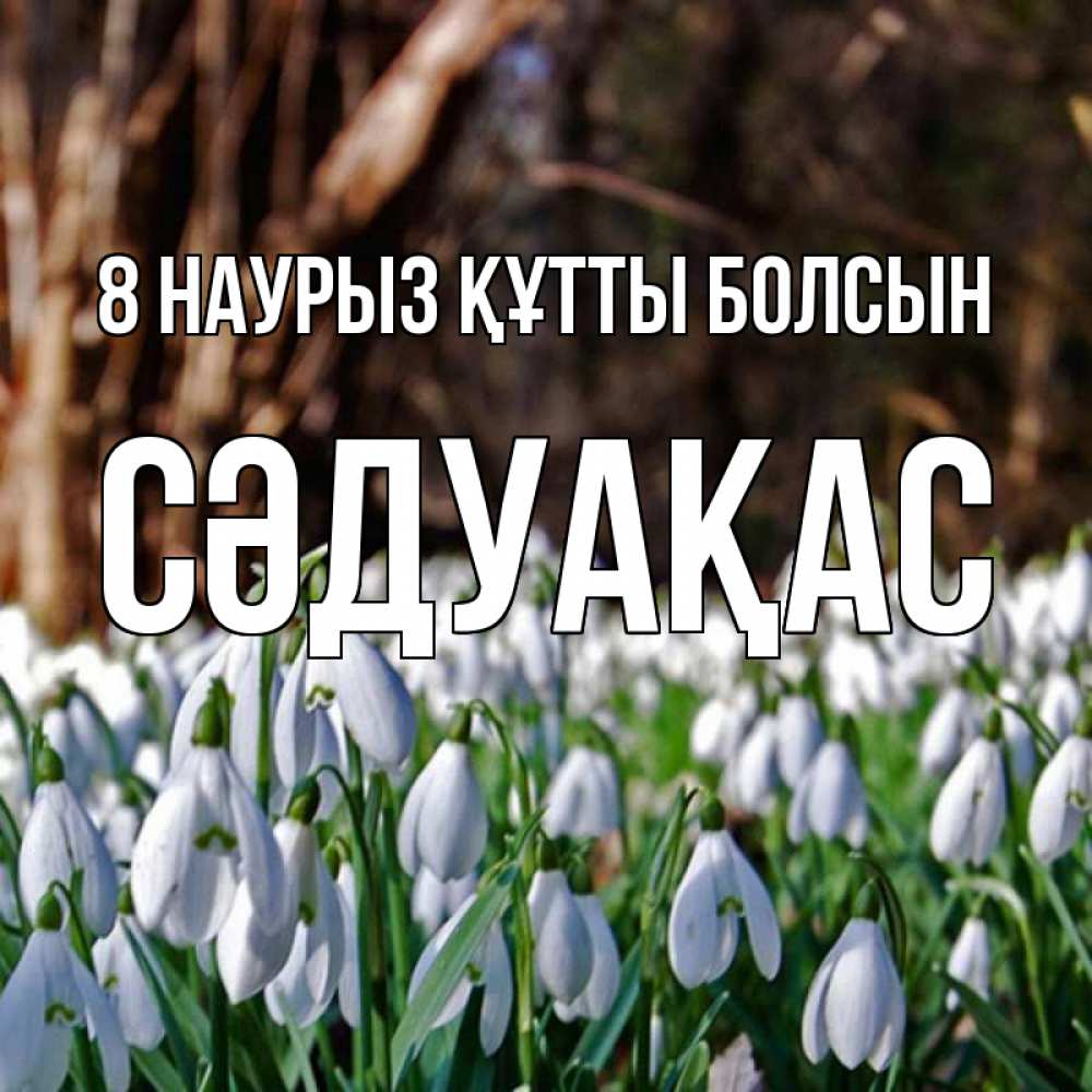Күн сайын ашық хат с именем, СӘДУАҚАС 8 наурыз құтты болсын с подснежниками 1 Онлайн тегін жүктеп алу тілектері бар керемет карта 