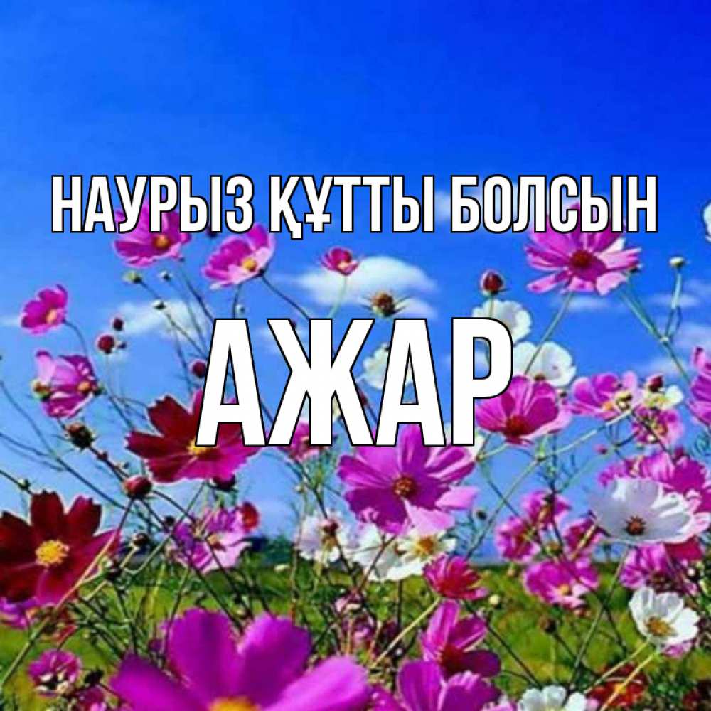 Күн сайын ашық хат с именем, АЖАР Наурыз құтты болсын цветы Онлайн тегін жүктеп алу тілектері бар керемет карта 