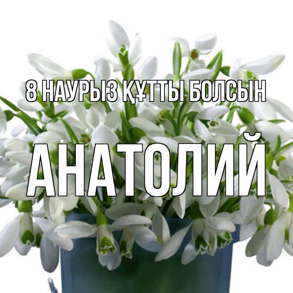 Күн сайын ашық хат с именем, Анатолий 8 наурыз құтты болсын цветы к международному женскому дню Онлайн тегін жүктеп алу тілектері бар керемет карта 