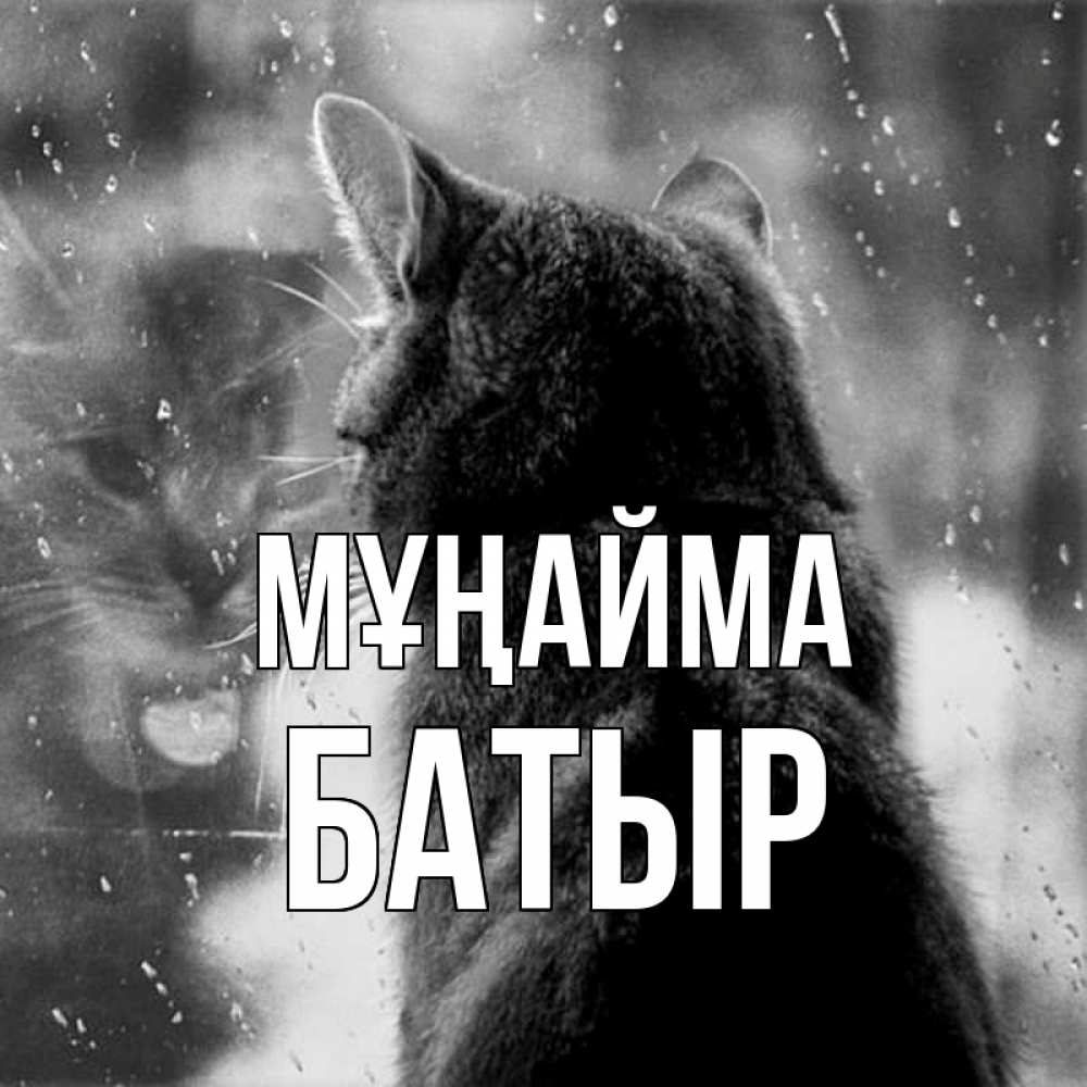 Күн сайын ашық хат с именем, Батыр Мұңайма отражение кота 1 Онлайн тегін жүктеп алу тілектері бар керемет карта 