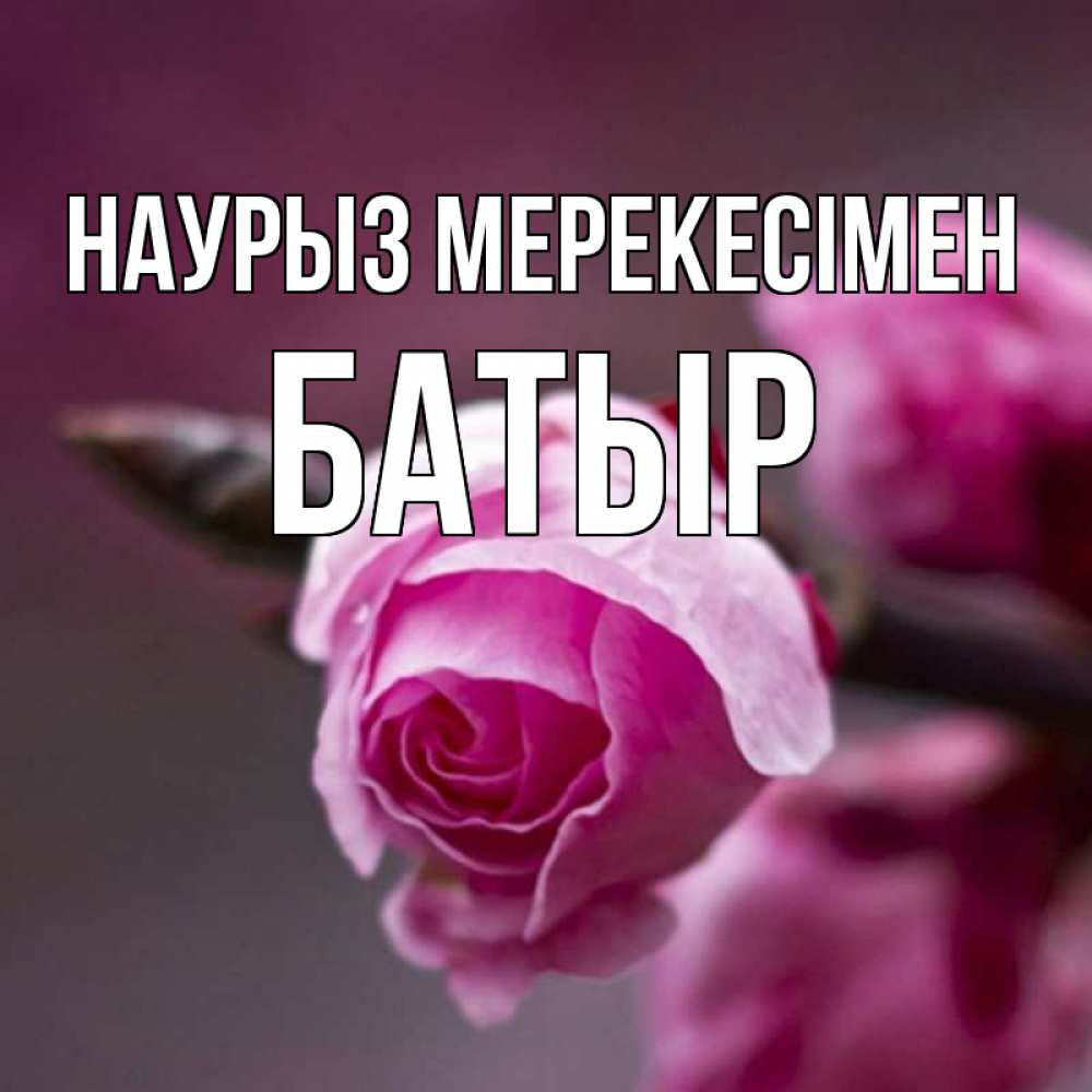 Күн сайын ашық хат с именем, Батыр Наурыз мерекесімен весна Онлайн тегін жүктеп алу тілектері бар керемет карта 