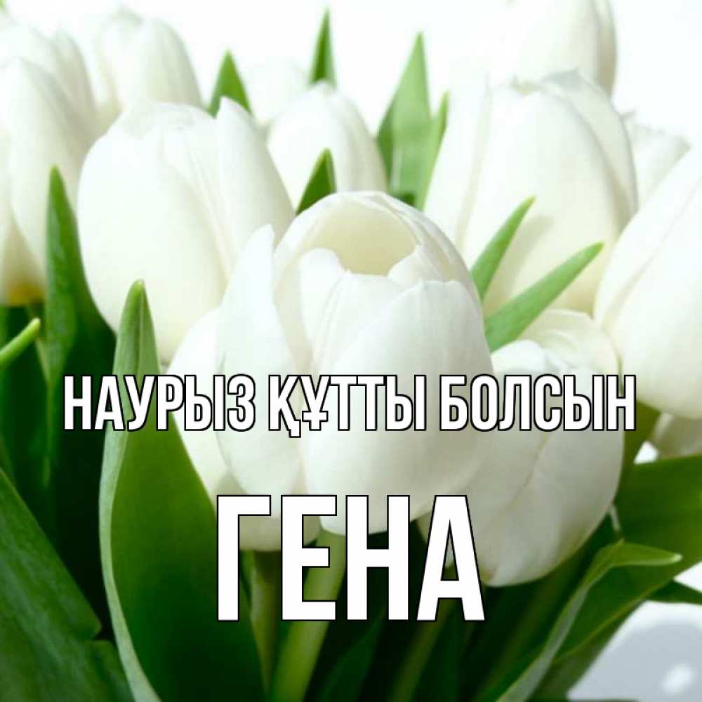 Күн сайын ашық хат с именем, Гена Наурыз құтты болсын цветы Онлайн тегін жүктеп алу тілектері бар керемет карта 
