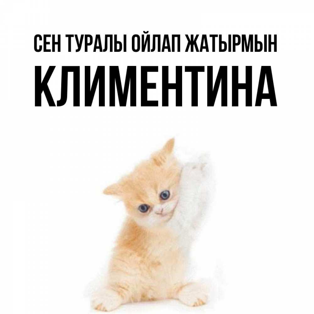 Күн сайын ашық хат с именем, Климентина Сен туралы ойлап жатырмын зверушки и милота Онлайн тегін жүктеп алу тілектері бар керемет карта 