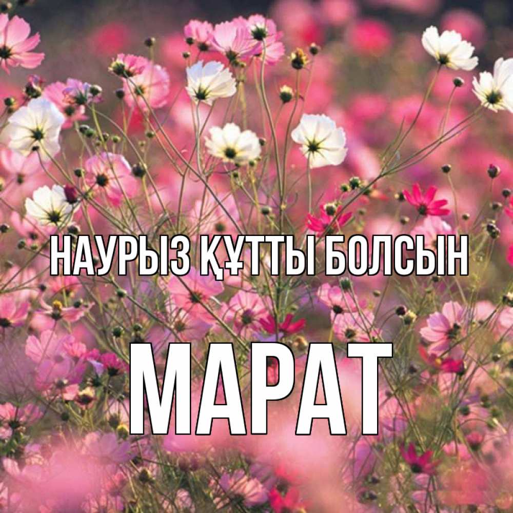Күн сайын ашық хат с именем, МАРАТ Наурыз құтты болсын красиво 1 Онлайн тегін жүктеп алу тілектері бар керемет карта 