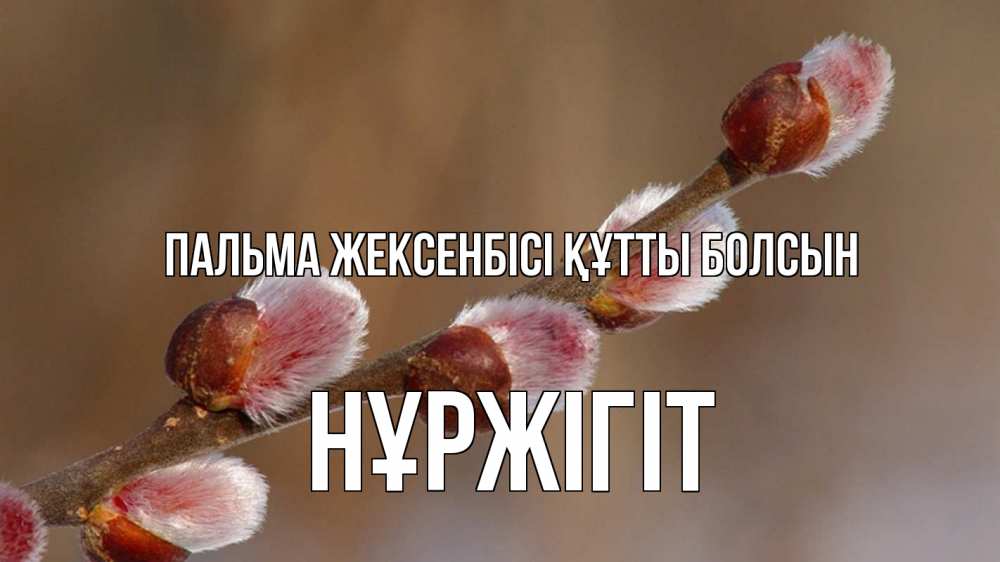 Күн сайын ашық хат с именем, НҰРЖІГІТ Пальма жексенбісі құтты болсын верба Онлайн тегін жүктеп алу тілектері бар керемет карта 