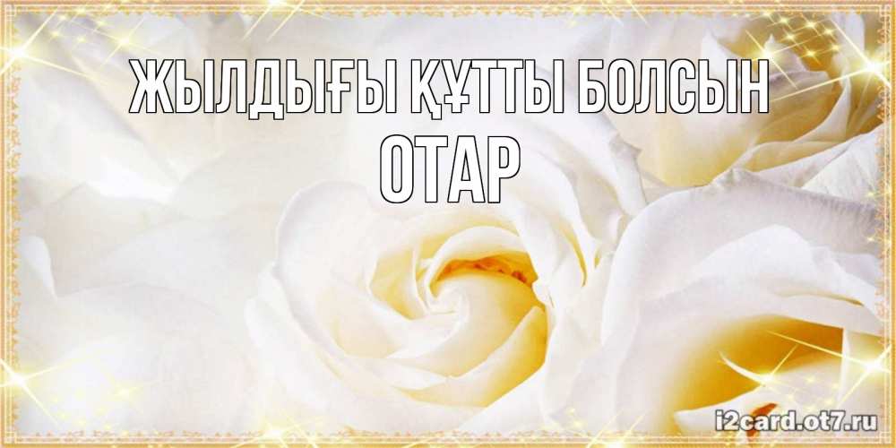 Күн сайын ашық хат с именем, ОТАР Жылдығы құтты болсын красивые розы и капли росы на этих чудесных цветах Онлайн тегін жүктеп алу тілектері бар керемет карта 