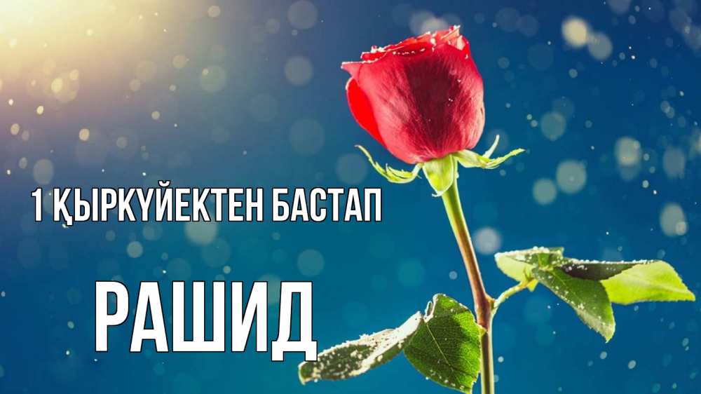Күн сайын ашық хат с именем, Рашид 1 қыркүйектен бастап с днем знаний Онлайн тегін жүктеп алу тілектері бар керемет карта 