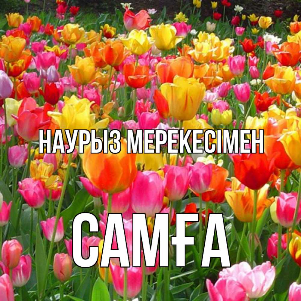 Күн сайын ашық хат с именем, САМҒА Наурыз мерекесімен праздник весны наурыз 4 Онлайн тегін жүктеп алу тілектері бар керемет карта 
