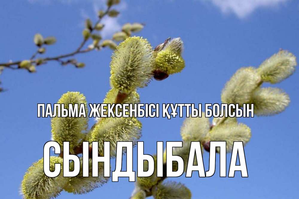 Күн сайын ашық хат с именем, СЫНДЫБАЛА Пальма жексенбісі құтты болсын верба Онлайн тегін жүктеп алу тілектері бар керемет карта 