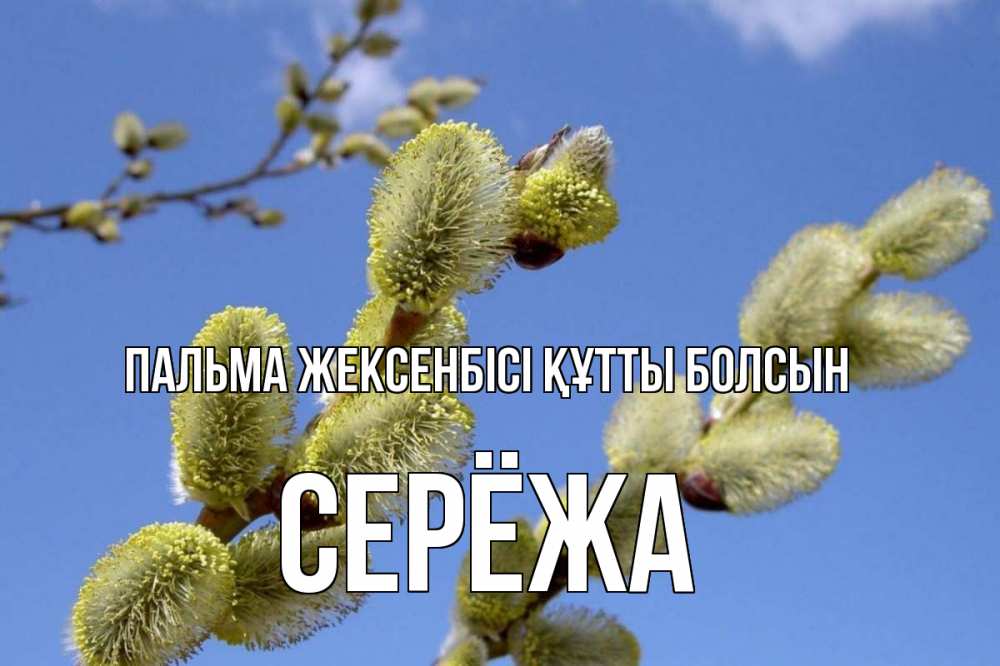 Күн сайын ашық хат с именем, Серёжа Пальма жексенбісі құтты болсын верба Онлайн тегін жүктеп алу тілектері бар керемет карта 