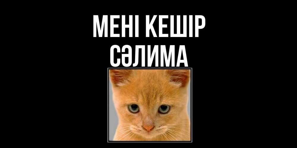 Күн сайын ашық хат с именем, СӘЛИМА Мені кешір рыжий грустный кот просит прощения Онлайн тегін жүктеп алу тілектері бар керемет карта 