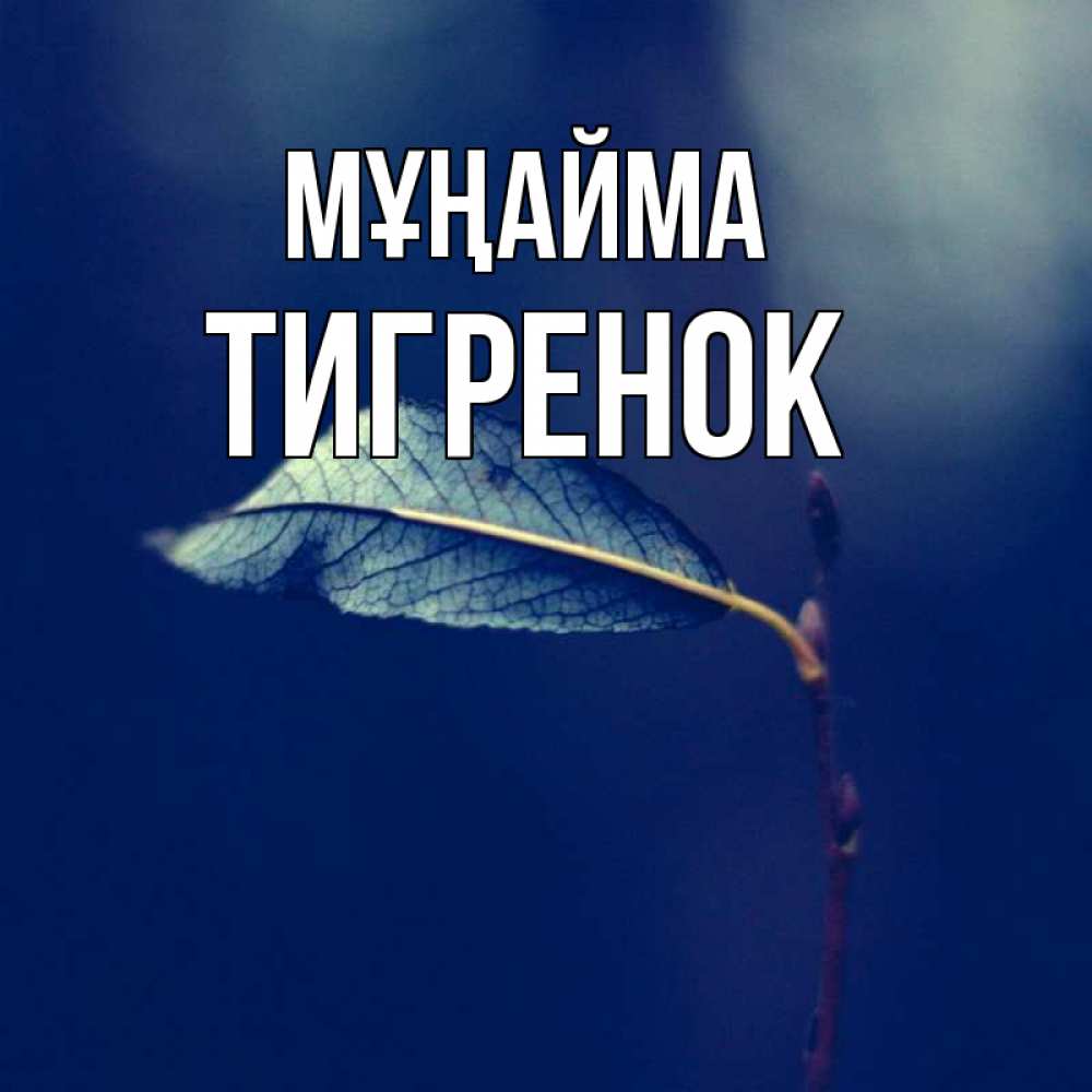 Күн сайын ашық хат с именем, Тигренок Мұңайма растение Онлайн тегін жүктеп алу тілектері бар керемет карта 